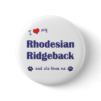 I Love My Rhodesian Ridgeback (Female Dog) Pinback Button