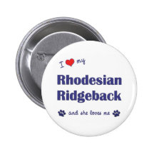 I Love My Rhodesian Ridgeback (Female Dog) Pinback Button