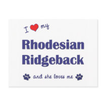 I Love My Rhodesian Ridgeback (Female Dog) Post Card