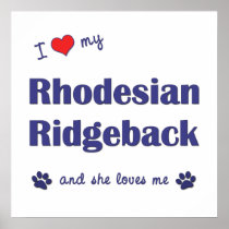 I Love My Rhodesian Ridgeback (Female Dog) Posters