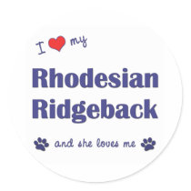 I Love My Rhodesian Ridgeback (Female Dog) Sticker