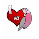 I Love my Rose Breasted Cockatoo Ladies T-Shirt