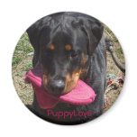 I love my Rottie puppy Fridge Magnet