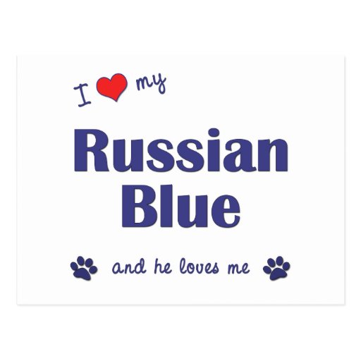 Cat Shirts Love My Russian 89