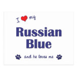 I Love My Russian Blue (Male Cat) Postcards