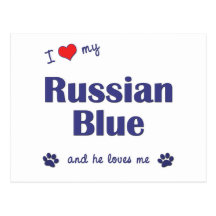 I Love My Russian Blue (Male Cat) Postcards