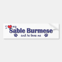 I Love My Sable Burmese (Male Cat) Bumper Sticker