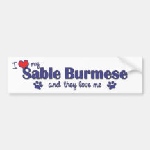 I Love My Sable Burmese (Multiple Cats) Bumper Stickers