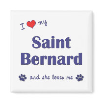 I Love My Saint Bernard (Female Dog) Magnets