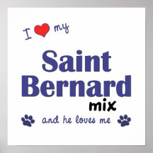 I Love My Saint Bernard Mix (Male Dog) Poster