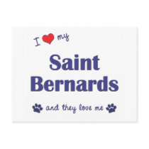 I Love My Saint Bernards (Multiple Dogs) postcards