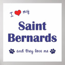 I Love My Saint Bernards (Multiple Dogs) Print