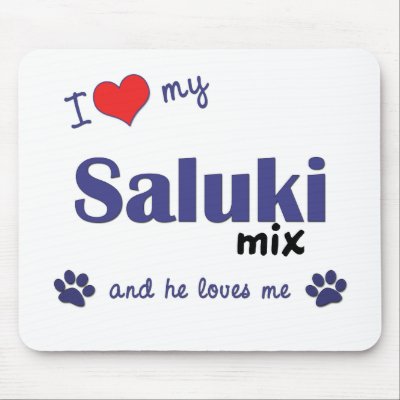Saluki Mix