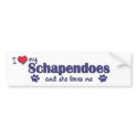 I Love My Schapendoes (Female Dog) bumper stickers