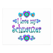 I Love My Schnauzer Post Card