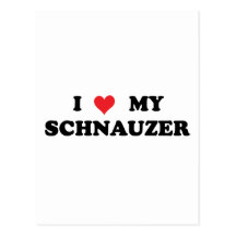I Love My Schnauzer Post Card