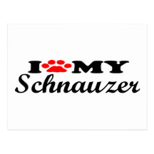 I Love My Schnauzer Post Cards