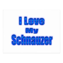 I Love My Schnauzer Post Cards