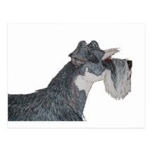 I Love My Schnauzer Postcard