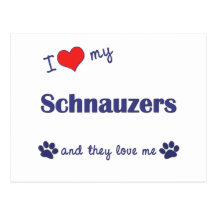 I Love My Schnauzers (Multiple Dogs) Post Card