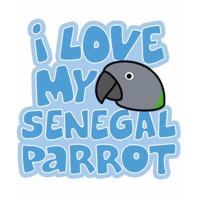 I Love My Senegal Ladies Twofer Shirt by MenagerieMayhem
