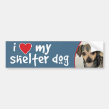 I Love My Shelter Dog Chihuahua Mix Bumper Sticker