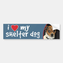 I Love My Shelter Dog Chihuahua Mix Bumper Sticker