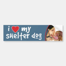 I Love My Shelter Dog Pitbull Bumper Sticker