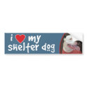 I Love My Shelter Dog-Pitbull Bumper Sticker/Decal bumper stickers