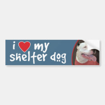 I Love My Shelter Dog-Pitbull Bumper Sticker/Decal