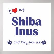I Love My Shiba Inus (Multiple Dogs) Posters