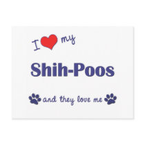 I Love My Shih-Poos (Multiple Dogs) postcards by dogadoodle I Love My Shih-Poos (Multiple Dogs) postcards