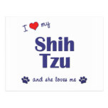 I Love My Shih Tzu (Female Dogs) Post Cards