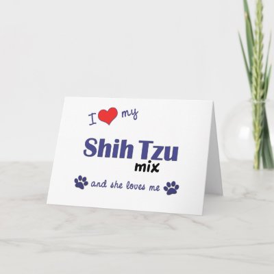 Shih+tzu+mix+breeds