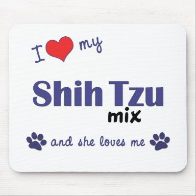 List+of+shih+tzu+mixes