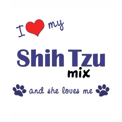 Shih+tzu+mix