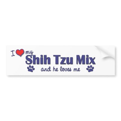 Shih+tzu+mixed