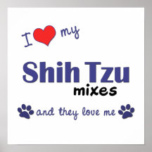 I Love My Shih Tzu Mixes (Multi Dogs) Poster Print