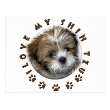 I Love My Shih Tzu Tender Pet Design Post Cards