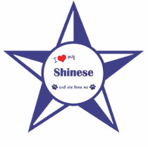I Love My Shinese (Female Dog) Ornament photo sculptures by dogadoodle I Love My Shinese (Female Dog) Ornament photo sculptures