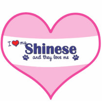 Shinese Dog