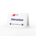 I Love My Shiranian (Male Dog) cards by dogadoodle I Love My Shiranian (Male Dog) cards