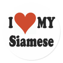 I Love My Siamese Cat Merchandise stickers by janbalaya I Love My Siamese Cat Merchandise stickers