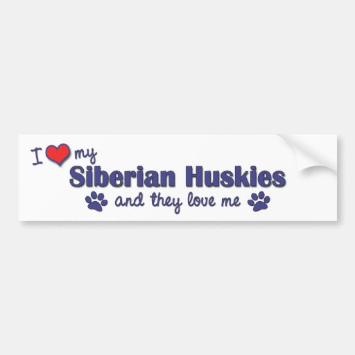 I Love My Siberian Huskies (Multiple Dogs) Bumper Sticker