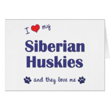 I Love My Siberian Huskies (Multiple Dogs) Greeting Card