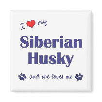 I Love My Siberian Husky (Female Dog) magnets by thatsalottadogs I Love My Siberian Husky (Female Dog) magnets