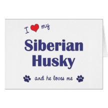 I Love My Siberian Husky (Male Dog) Cards
