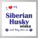 I Love My Siberian Husky Mixes (Multi Dogs) Poster
