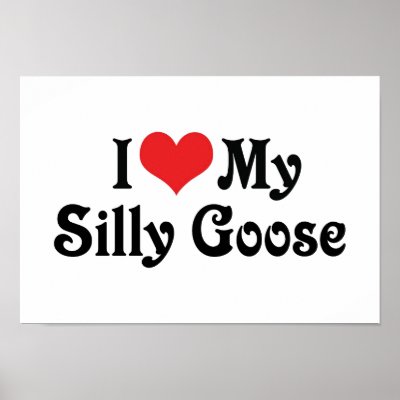 A Silly Goose