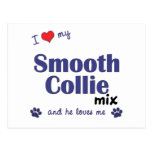 I Love My Smooth Collie Mix (Male Dog) Post Cards